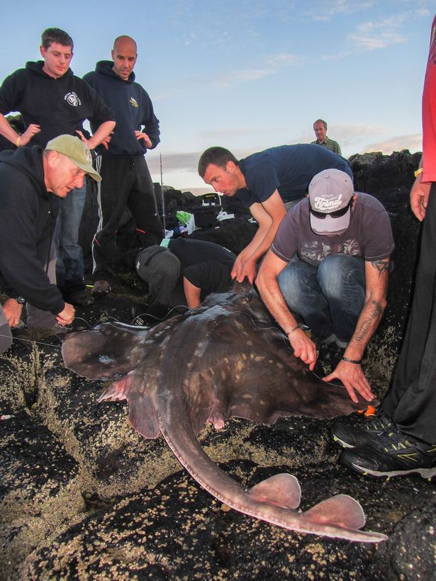 Ӣ����������˹�����ذ�����188���ؾ�������