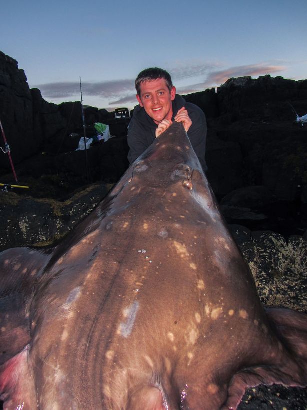 Ӣ����������˹�����ذ�����188���ؾ�������