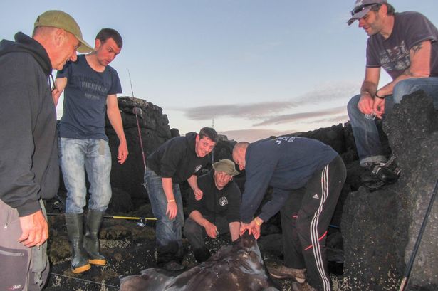 Ӣ����������˹�����ذ�����188���ؾ�������