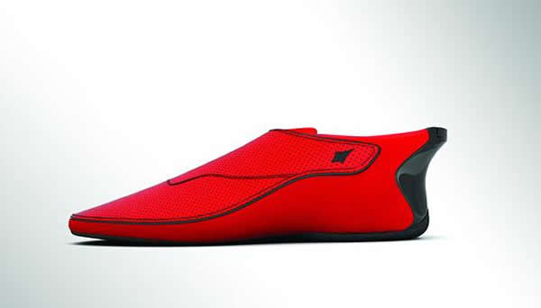 ӡ�ȹ�˾��������ЬLechal��ͨ������ʾǰ������