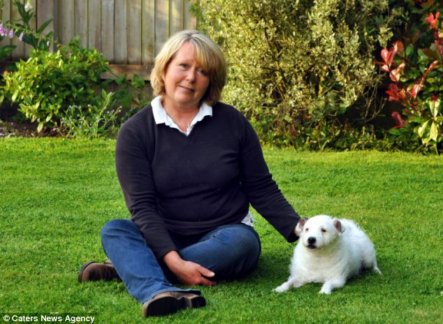 英国13岁老狗走失4年后靠着宠物晶片终于回到主人怀抱