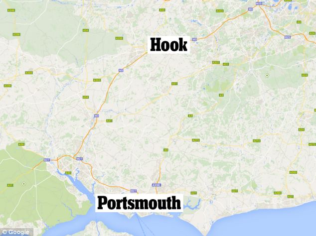 英国13岁老狗走失4年后靠着宠物晶片终于回到主人怀抱