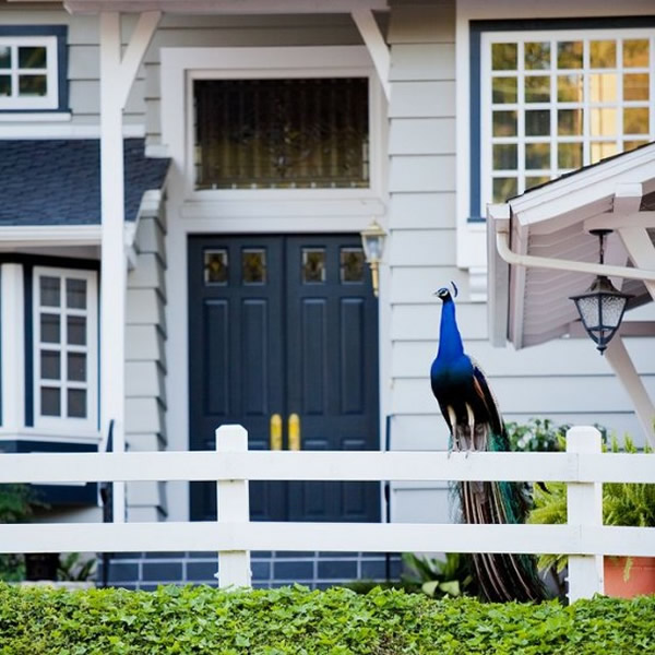 ɼ˹˹뵺ׯ԰ʮֻȸɱ