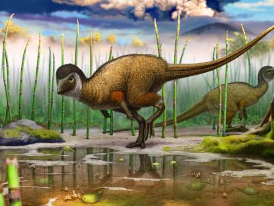 南美洲银矿开采的历史 - 神秘的地球 科学|自然