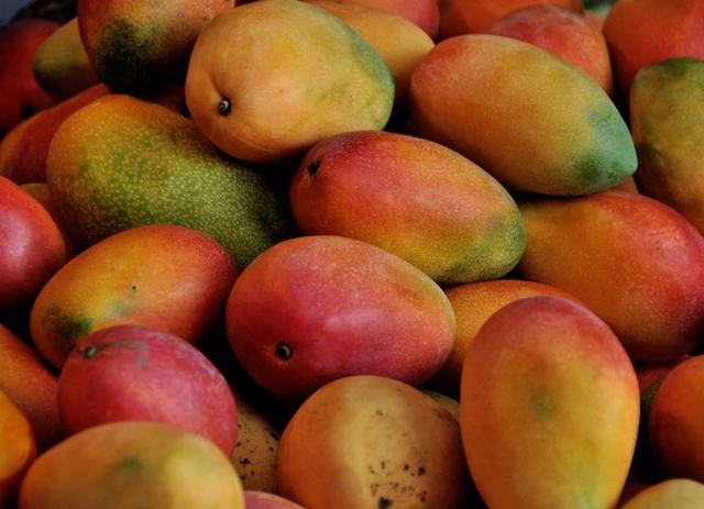 印度科学家培育出无核芒果