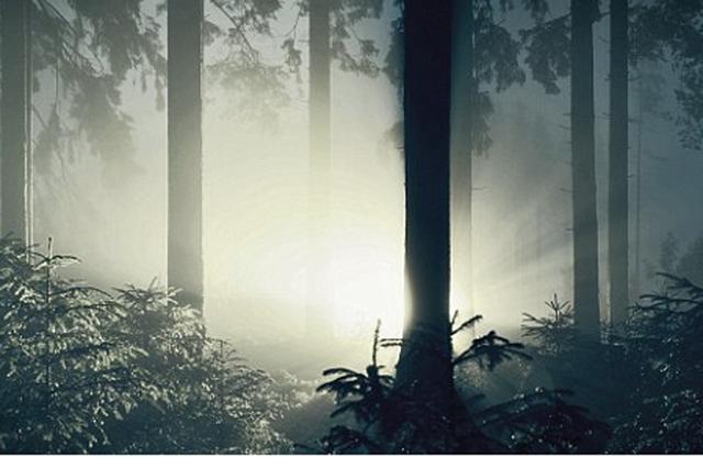 ���������г��������صĹ�â��һЩ�о���Ա��Ϊ����ͨ�����õķ���