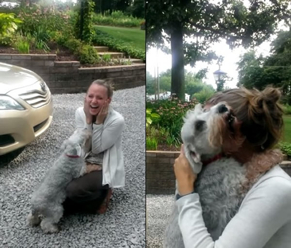 ����һֻѩ����2��û�������� �ط�ʱ���˷��ε�