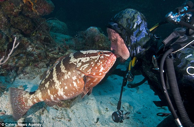 ���ɰ��İ���ʯ���㺣������ǱˮԱ�����ָ���