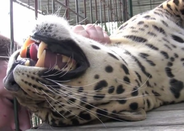 ��������԰Ա�������������滨����Ħ