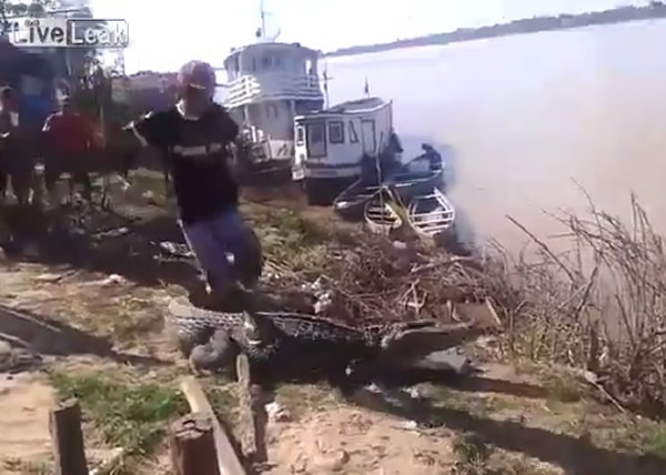 �������С�̤�������β����������