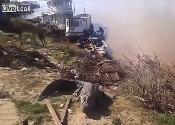 ����֮������ԭ�ز�������������͡�