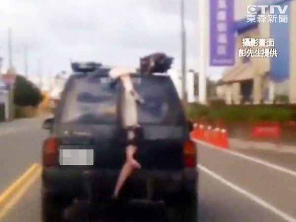 吉普车后居然绑着一条1.5米双髻鲨