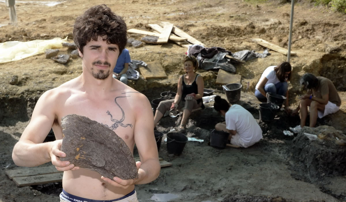 729գ ڷſˣʵ£ο͹ۿѧ־ԸھֳѰҿʯ