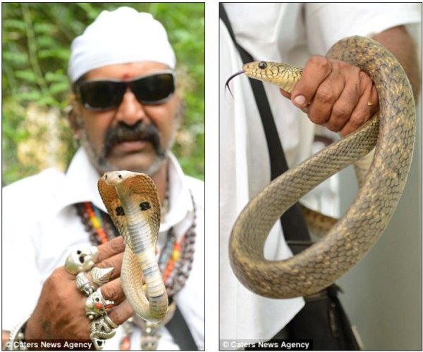 ӡ��ҵ�ಶ������30����䲶׽��4�������ָ�������