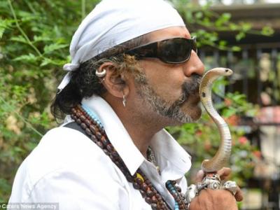 研究人员认为黑洞并非最终结局 星体会变成白