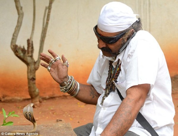 ӡ��ҵ�ಶ������30����䲶׽��4�������ָ�������