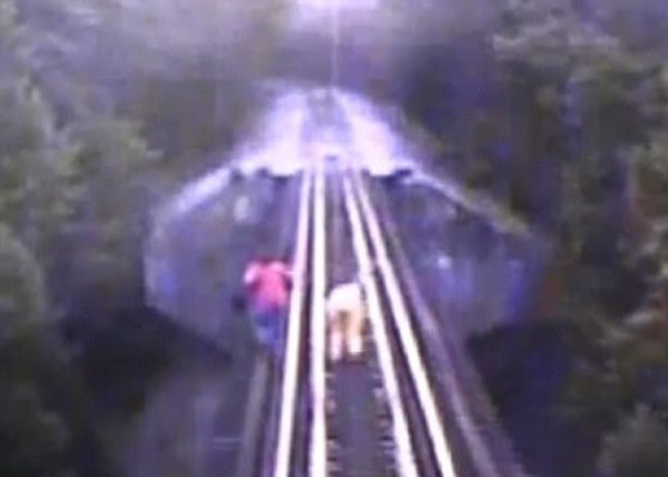 2��Ů���ۼ���ʻ����ƴ����ǰ���ܡ�