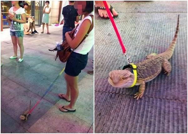 ����֣��Ů�Ӵ�����ɢ��