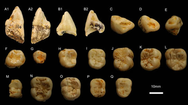 ���ϴ󶴻�ʯ����������ݣ������ͼ��