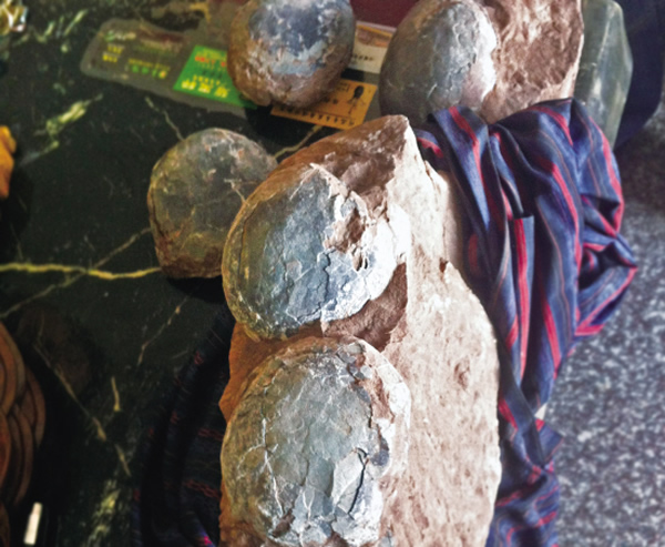 浙江金华街头兜售恐龙蛋化石