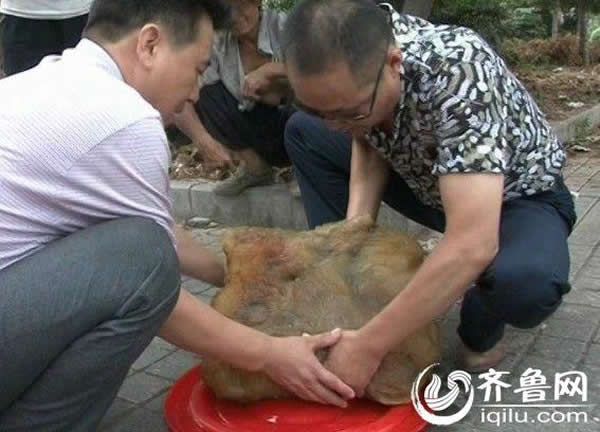 ɽ�������ղ���ʮһ�ﲻ�������塰̫�ꡱ