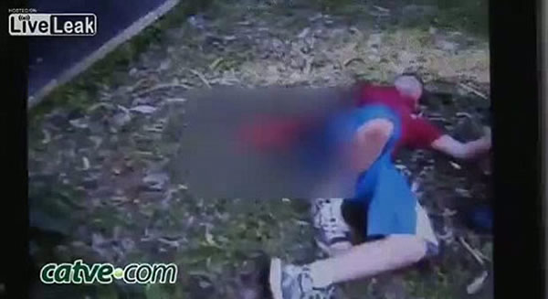 巴西男孩动物园喂老虎被咬掉一只手