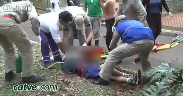 巴西男孩动物园喂老虎被咬掉一只手