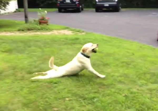 ��������ȮStella�ܰ��ú��ȡ�ɲ����