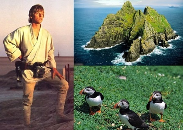 ����(����ͼ)ԭ��Ҫ��С��(����ͼ)��ֳ