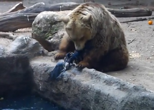 ������������˹����԰���ܱ��ְ�������������ѻ