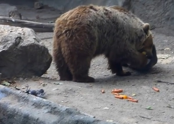 ��������������ѻ��ĬĬ�ߵ�һ�Գ�ˮ����