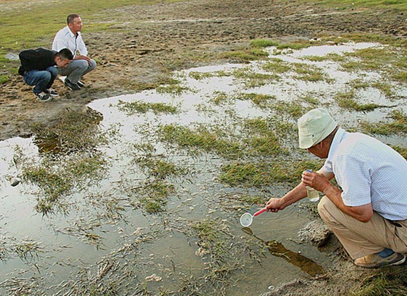 焦克敏在水潭中打捞“仙女虾”