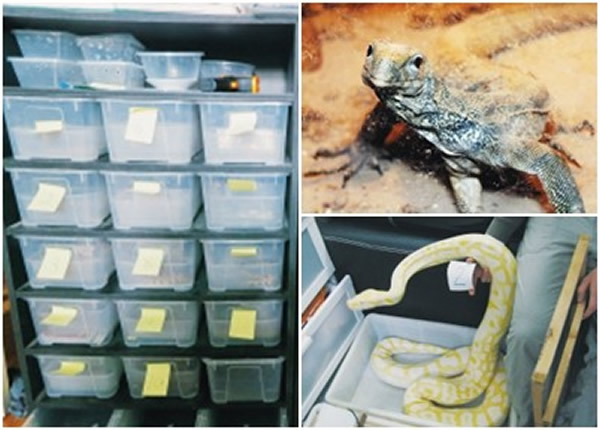 �㽭�ƻ��ش����緷������ΣҰ�����ﰸ