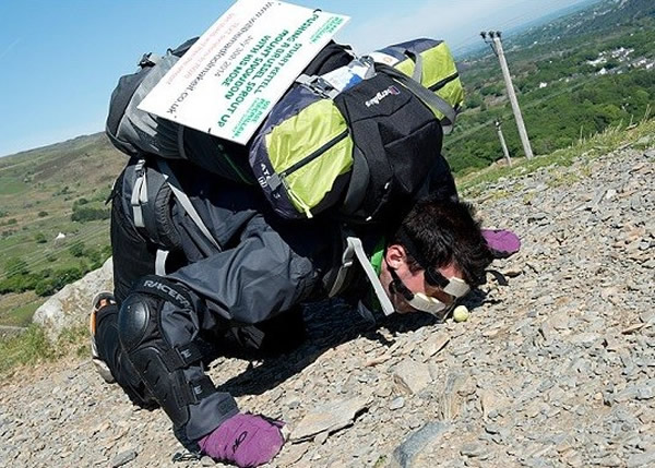 Ӣ�������ñǼ⹰Ҭ����ɽΪ��֢������