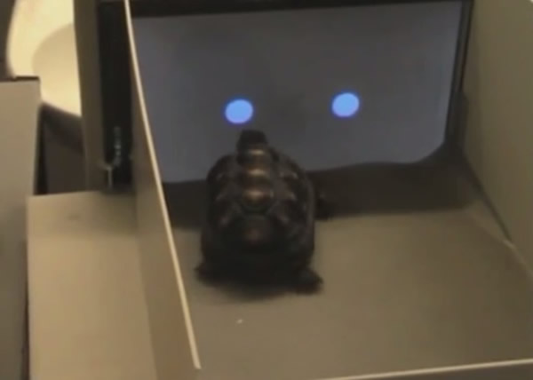 �ڹ�Ҳ����ʹ�ô�����Ļ