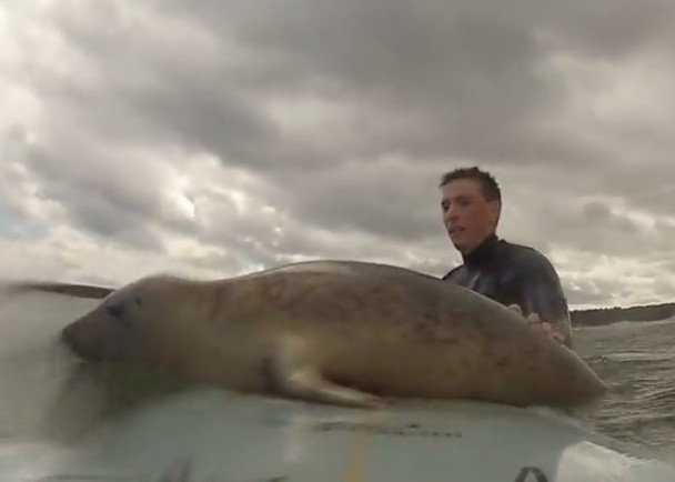 ��������������ռ�����˰�