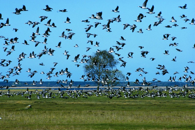 ����������Ǩ��ܿ������ڱ����������ֿ�ʼ��Ϊ��������Ϸɵø�Զ������������