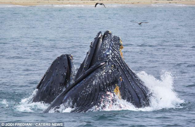 ��������������������߽������Ϸ��ͷ��