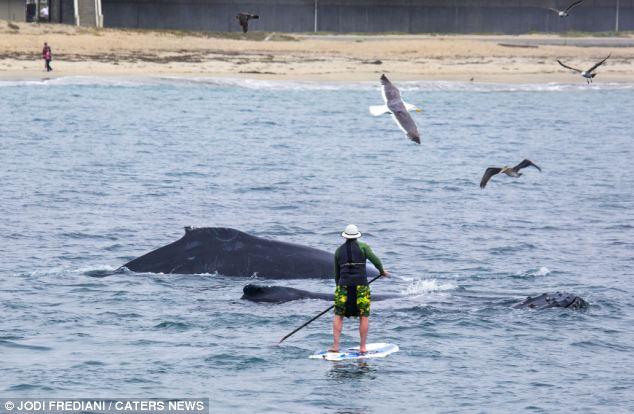 ��������������������߽������Ϸ��ͷ��