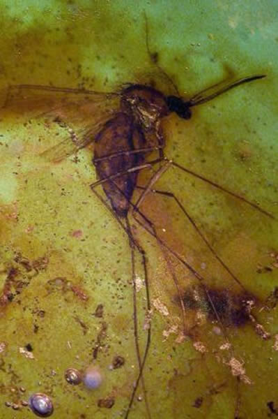 ��������ס������