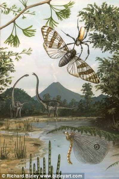 ������2.05���굽1.42����ǰ��٪�޼�ʱ�ڵ�һֻ��ͨԲ��