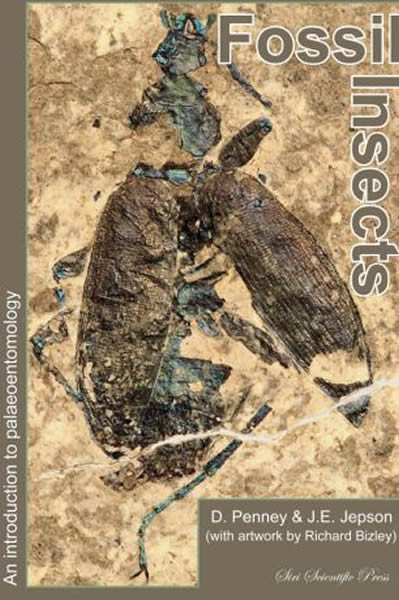 �����ڶ����ͣ�1.9���굽1.48����ǰ��ʱ�ڵ�����ë���Ȼ����������