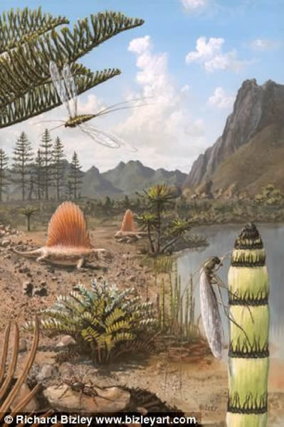 �����ڶ����ͣ�1.9���굽1.48����ǰ��ʱ�ڵ�����ë���Ȼ����������