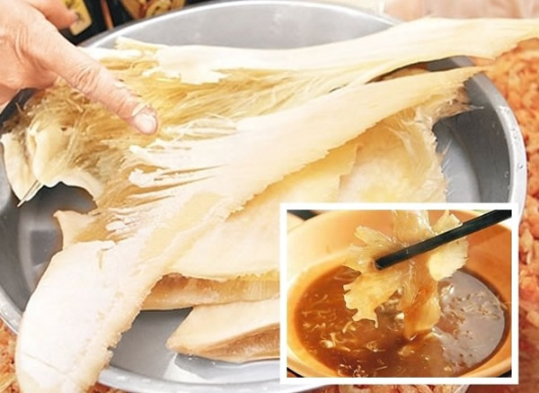 中国鱼翅消费趋势最新报告:中国鱼翅市场萎缩