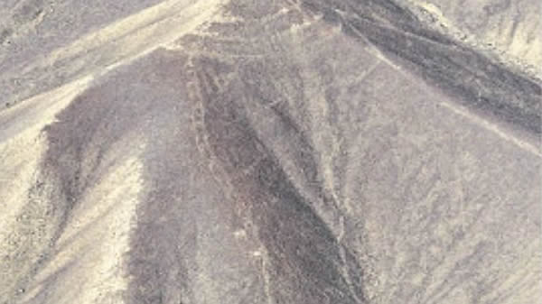 另外又有一条长60米的“蛇”