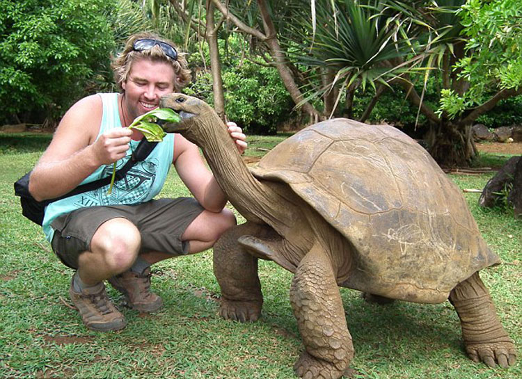 �������Ѿ�ȥ��40������ң�����������������Σ�ն��