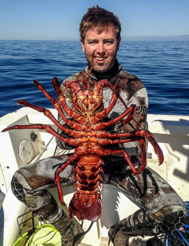 ��������26�����Ӹ���˹�ء�����������Ϻ����