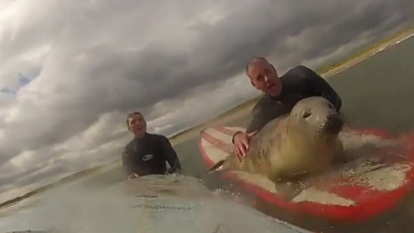 Ӣ��ŵɭ����������С������������һͬ���� ������׷�Ϻ�̲