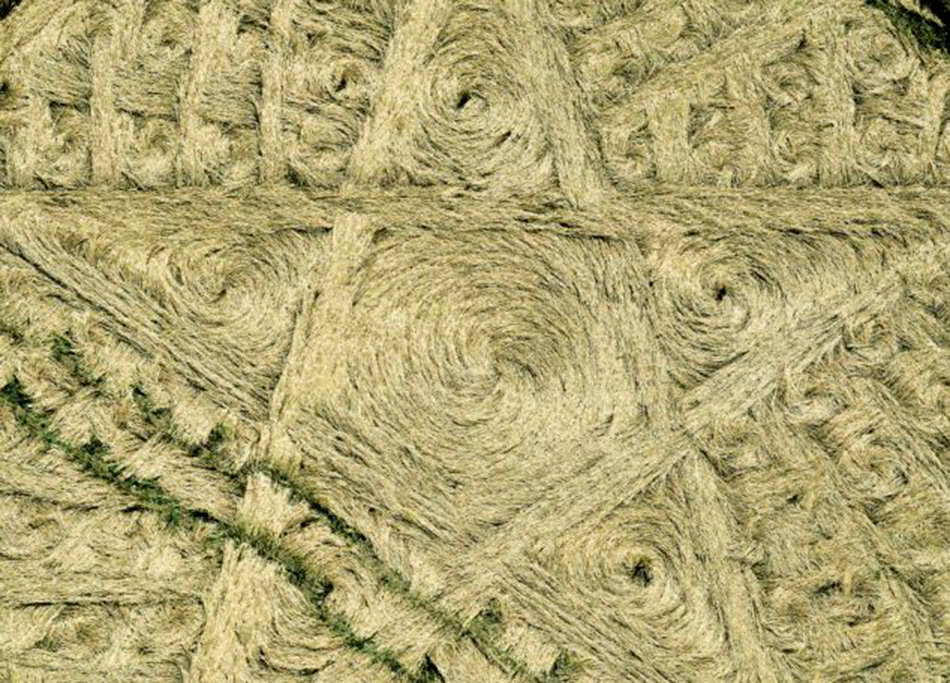 Ӣ������˹�ؿ�һ�����﷢��һ����������͵������Ȧ