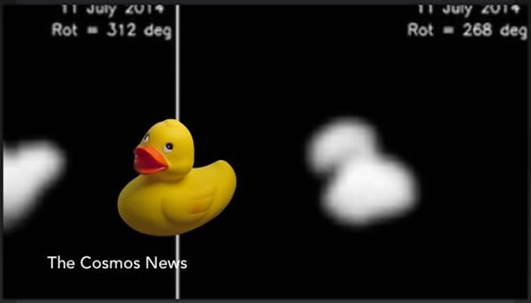 彗星“67P/楚留莫夫-格拉希门克”的彗核形状很不规则,科学家们认为,它的样子很像一只大黄鸭